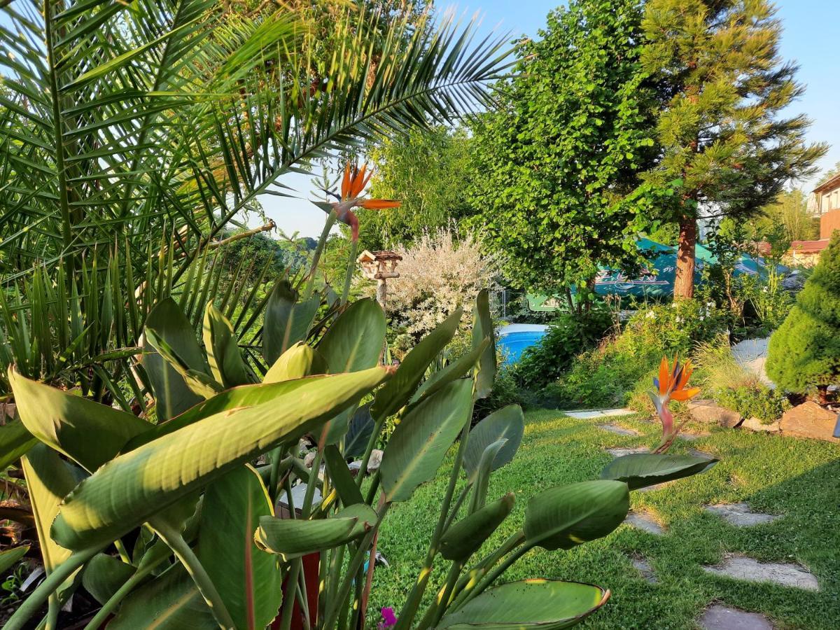 Penzion Zahrada Nad Rekou, Restaurace A Kavarna - Parkovani Gratis Zlatá Koruna Εξωτερικό φωτογραφία