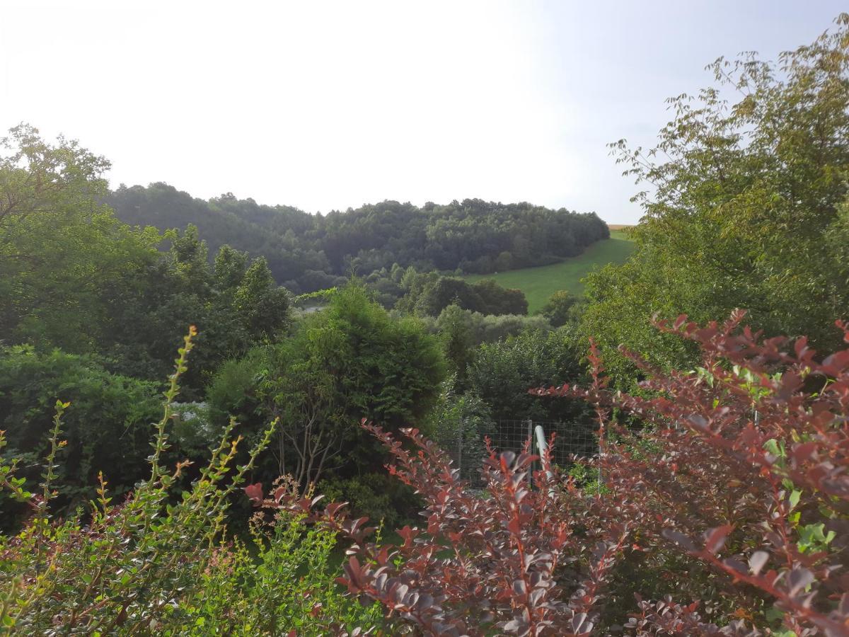 Penzion Zahrada Nad Rekou, Restaurace A Kavarna - Parkovani Gratis Zlatá Koruna Εξωτερικό φωτογραφία