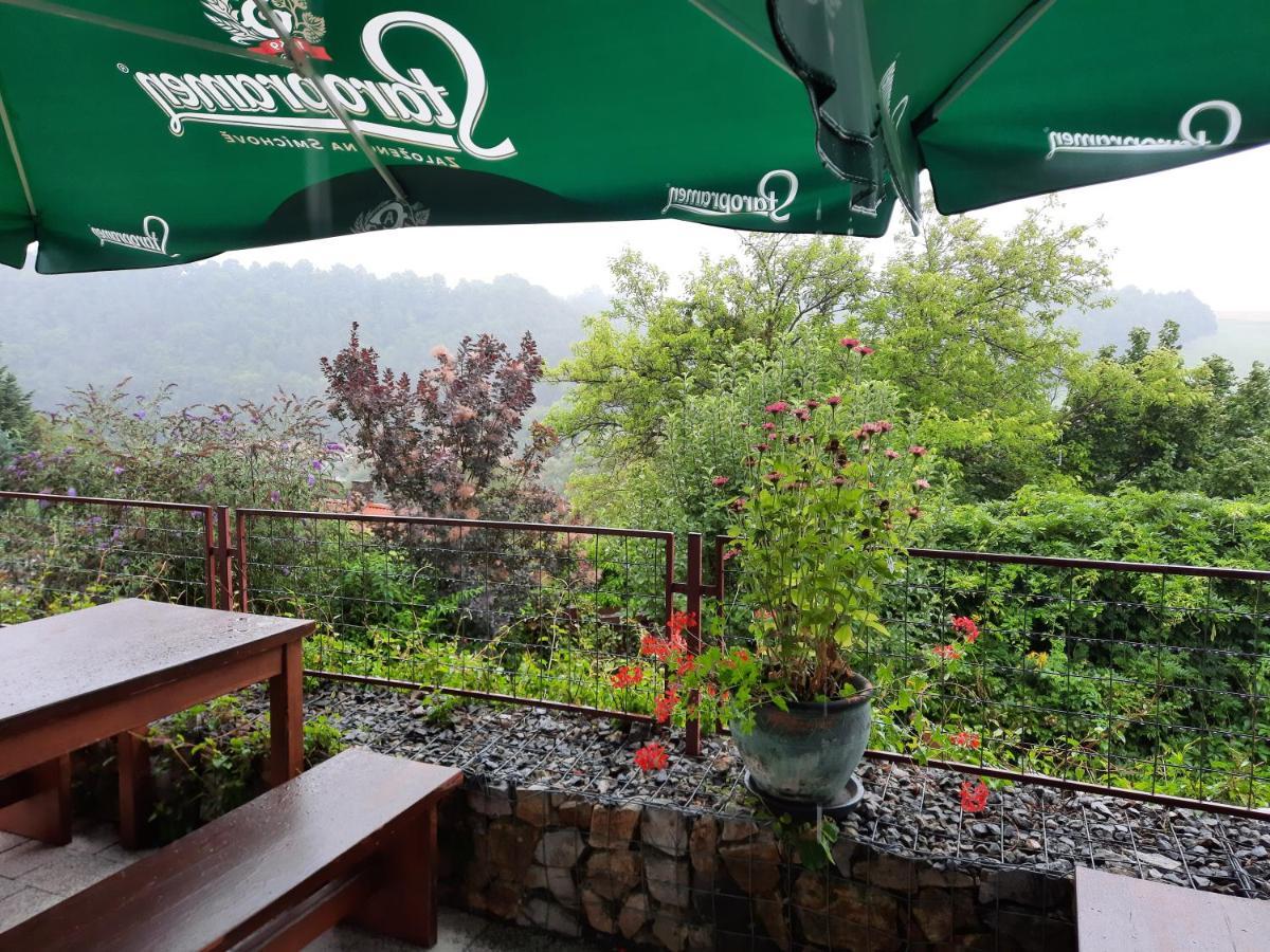 Penzion Zahrada Nad Rekou, Restaurace A Kavarna - Parkovani Gratis Zlatá Koruna Εξωτερικό φωτογραφία