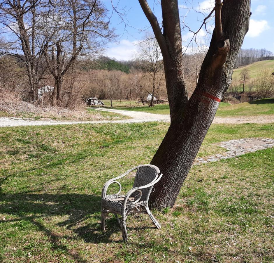 Penzion Zahrada Nad Rekou, Restaurace A Kavarna - Parkovani Gratis Zlatá Koruna Εξωτερικό φωτογραφία